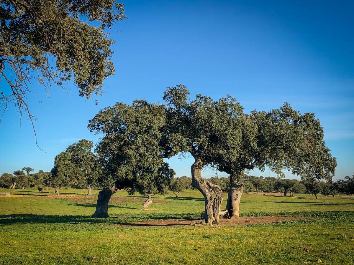 La Hermandad De Villalba Villalba de los Barros Εξωτερικό φωτογραφία
