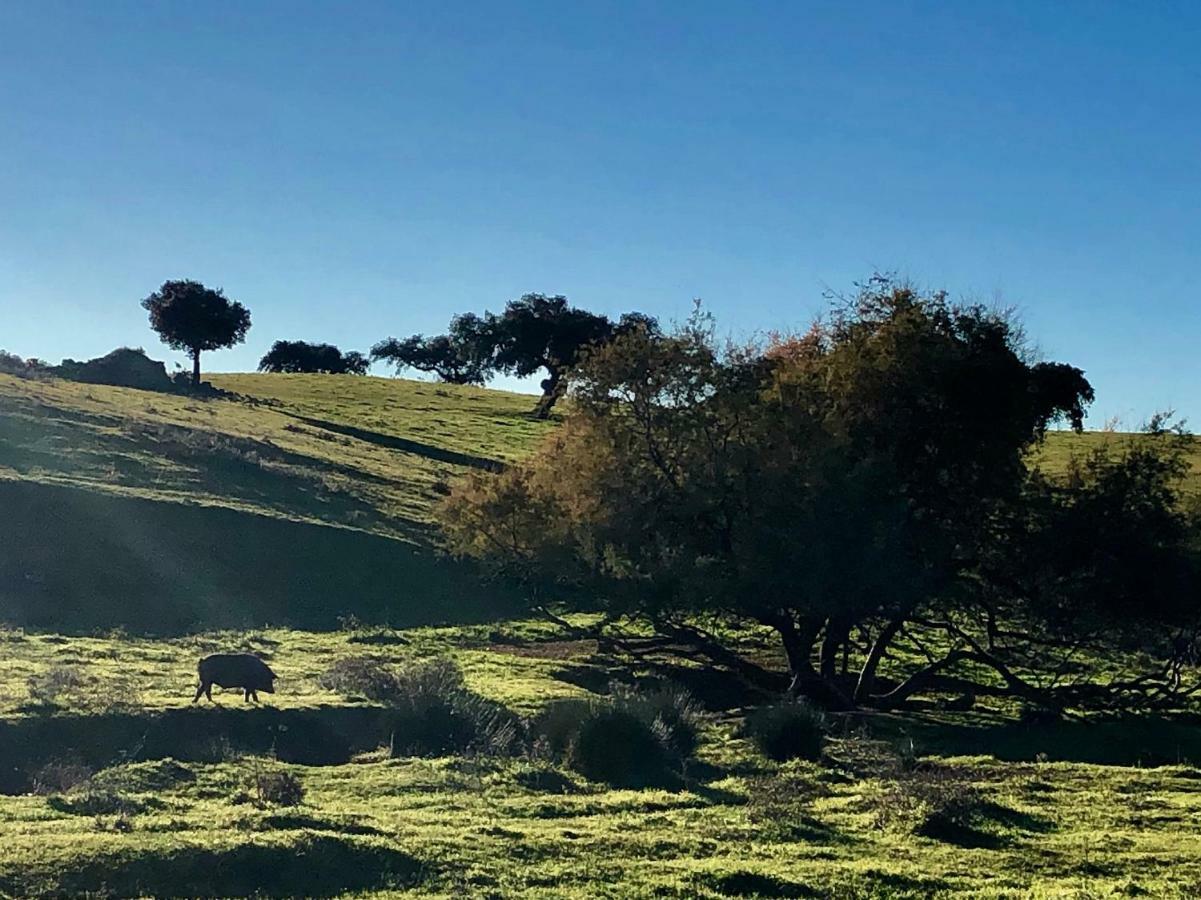 La Hermandad De Villalba Villalba de los Barros Εξωτερικό φωτογραφία