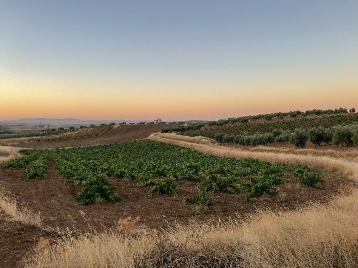 La Hermandad De Villalba Villalba de los Barros Εξωτερικό φωτογραφία