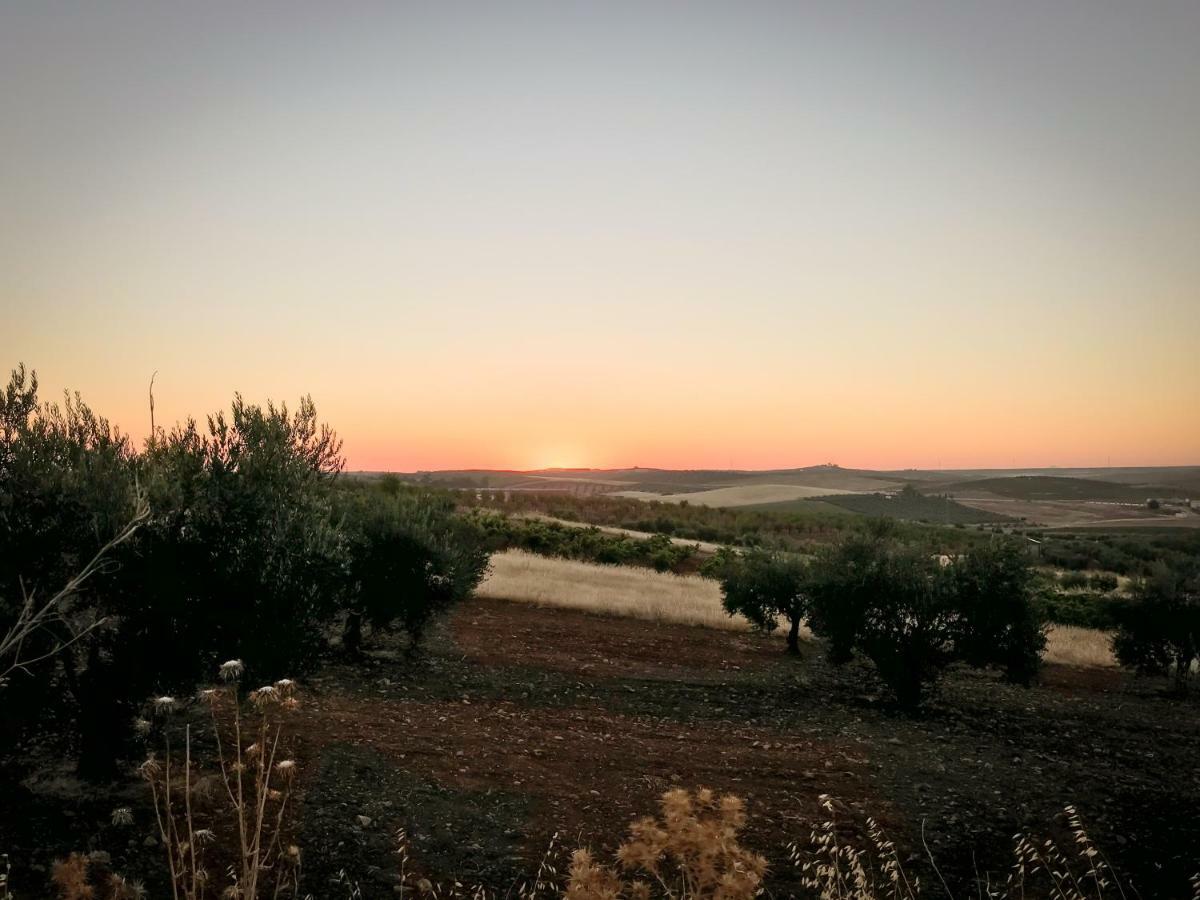 La Hermandad De Villalba Villalba de los Barros Εξωτερικό φωτογραφία